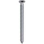 Self Tapping Screw 4 x 1"