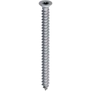 Self Tapping Screw 4 x 3/4Inch